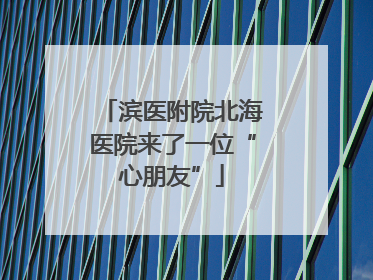 滨医附院北海医院来了一位“心朋友”