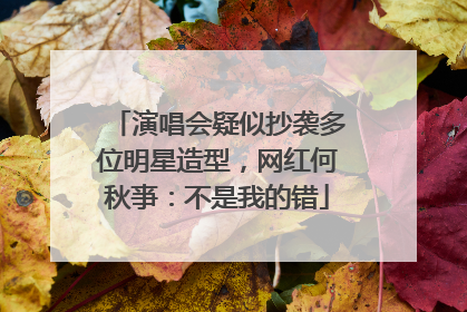 演唱会疑似抄袭多位明星造型，网红何秋亊：不是我的错