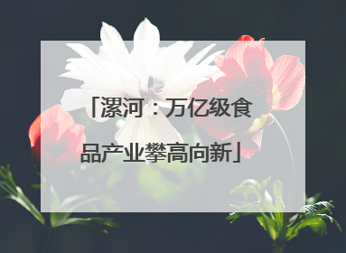 漯河：万亿级食品产业攀高向新