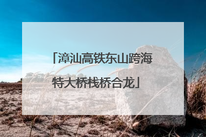 漳汕高铁东山跨海特大桥栈桥合龙
