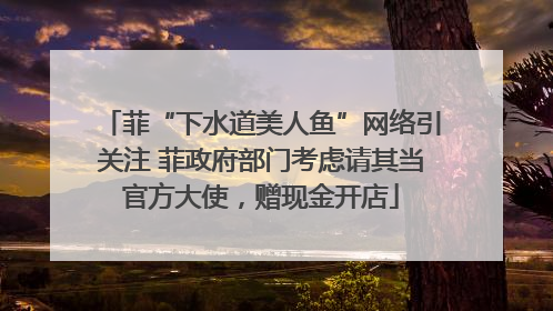 菲“下水道美人鱼”网络引关注 菲政府部门考虑请其当官方大使，赠现金开店