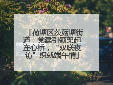 荷塘区茨菇塘街道：党建引领架起连心桥，“双联夜访”织就端午情