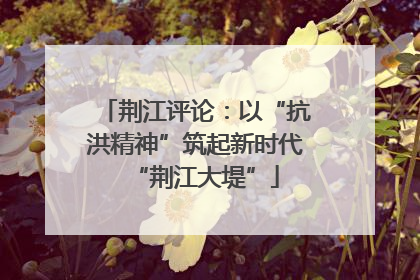 荆江评论：以“抗洪精神”筑起新时代“荆江大堤”