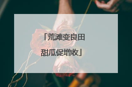 荒滩变良田 甜瓜促增收