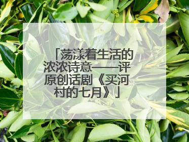 荡漾着生活的浓浓诗意——评原创话剧《买河村的七月》