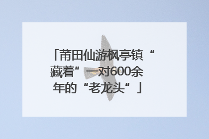 莆田仙游枫亭镇“藏着”一对600余年的“老龙头”