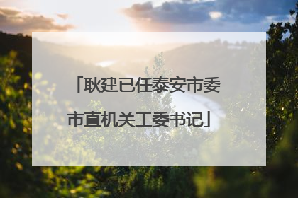 耿建已任泰安市委市直机关工委书记