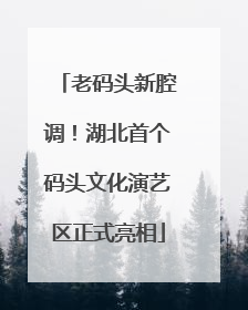 老码头新腔调！湖北首个码头文化演艺区正式亮相