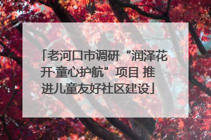 老河口市调研“润泽花开·童心护航”项目 推进儿童友好社区建设