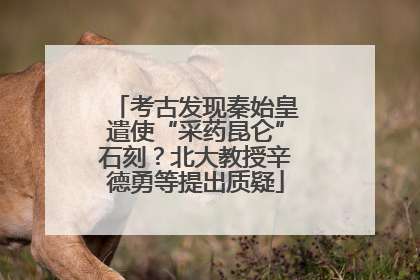 考古发现秦始皇遣使“采药昆仑”石刻？北大教授辛德勇等提出质疑