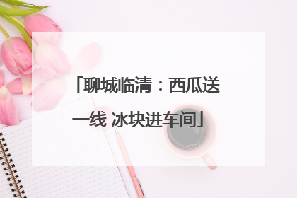 聊城临清：西瓜送一线 冰块进车间