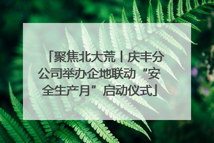 聚焦北大荒丨庆丰分公司举办企地联动“安全生产月”启动仪式