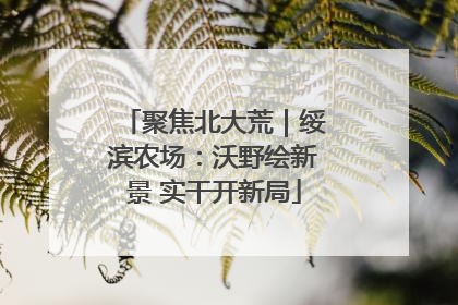 聚焦北大荒｜绥滨农场：沃野绘新景 实干开新局