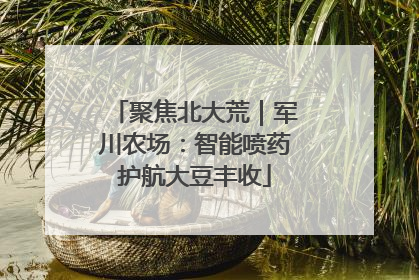聚焦北大荒｜军川农场：智能喷药护航大豆丰收