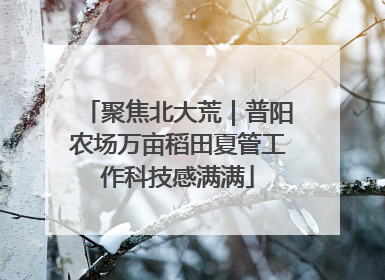 聚焦北大荒｜普阳农场万亩稻田夏管工作科技感满满