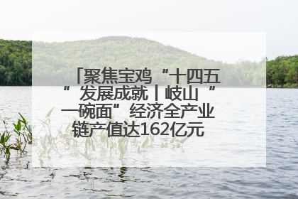 聚焦宝鸡“十四五”发展成就丨岐山“一碗面”经济全产业链产值达162亿元 入选全国典型县