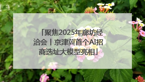 聚焦2025年廊坊经洽会丨京津冀首个AI招商选址大模型亮相