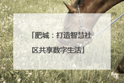 肥城：打造智慧社区共享数字生活