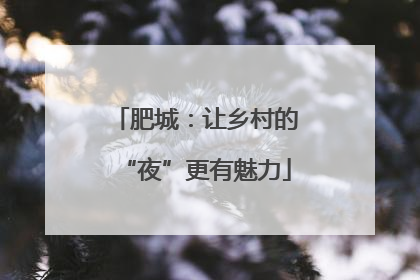 肥城：让乡村的“夜”更有魅力