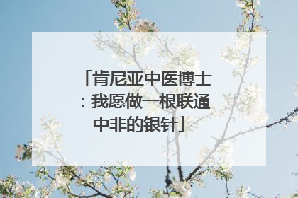 肯尼亚中医博士：我愿做一根联通中非的银针