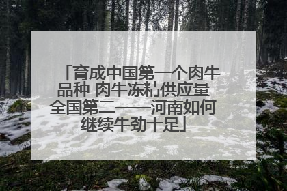 育成中国第一个肉牛品种 肉牛冻精供应量全国第二——河南如何继续牛劲十足