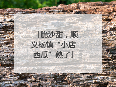脆沙甜，顺义杨镇“小店西瓜”熟了