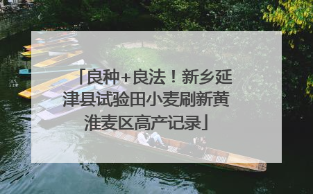 良种+良法！新乡延津县试验田小麦刷新黄淮麦区高产记录