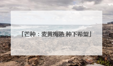 芒种：麦黄梅熟 种下希望