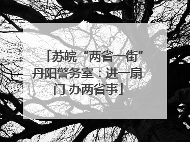 苏皖“两省一街”丹阳警务室：进一扇门 办两省事