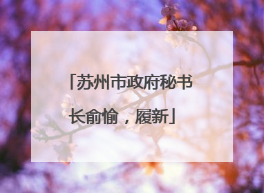 苏州市政府秘书长俞愉，履新