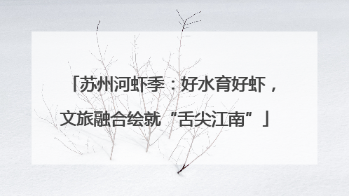 苏州河虾季：好水育好虾，文旅融合绘就“舌尖江南”