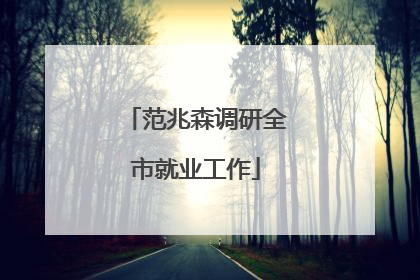 范兆森调研全市就业工作