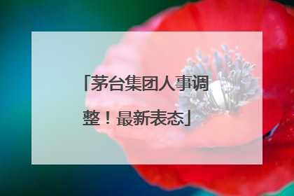 茅台集团人事调整！最新表态