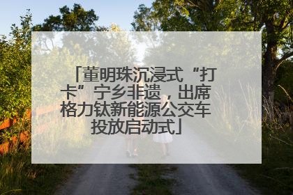 董明珠沉浸式“打卡”宁乡非遗,出席格力钛新能源公交车投放启动式