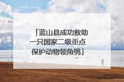 蓝山县成功救助一只国家二级重点保护动物领角鸮