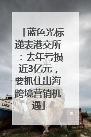 蓝色光标递表港交所：去年亏损近3亿元，要抓住出海跨境营销机遇