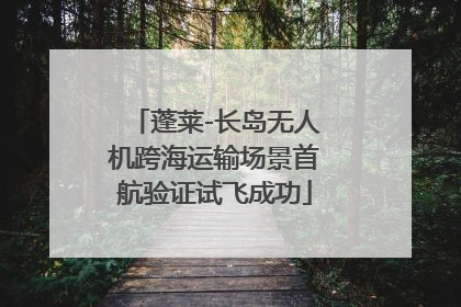 蓬莱-长岛无人机跨海运输场景首航验证试飞成功