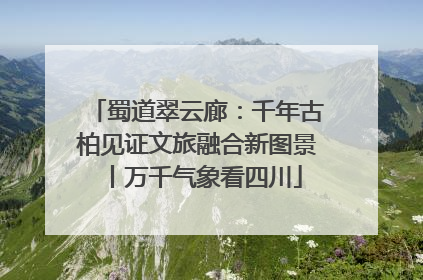 蜀道翠云廊：千年古柏见证文旅融合新图景丨万千气象看四川