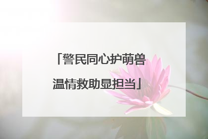 警民同心护萌兽 温情救助显担当