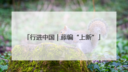 行进中国｜藤编“上新”