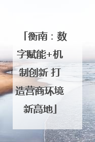 衡南：数字赋能+机制创新 打造营商环境新高地