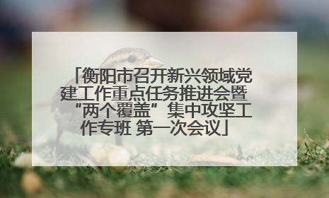 衡阳市召开新兴领域党建工作重点任务推进会暨“两个覆盖”集中攻坚工作专班 第一次会议