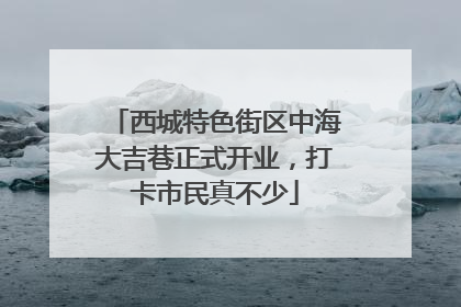 西城特色街区中海大吉巷正式开业，打卡市民真不少