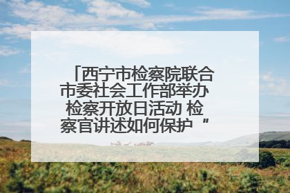 西宁市检察院联合市委社会工作部举办检察开放日活动 检察官讲述如何保护“少年的你”