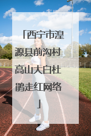 西宁市湟源县前沟村高山大白杜鹃走红网络