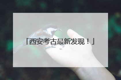西安考古最新发现！
