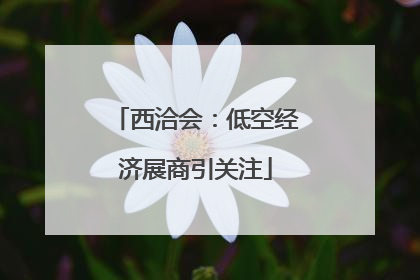 西洽会：低空经济展商引关注