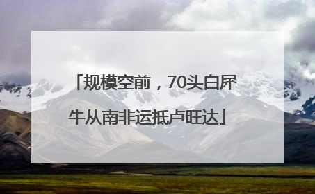 规模空前，70头白犀牛从南非运抵卢旺达
