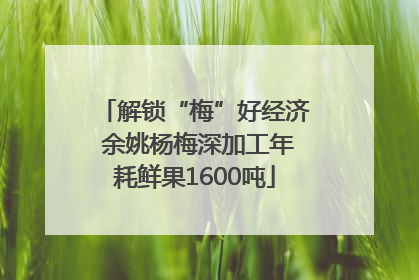 解锁“梅”好经济 余姚杨梅深加工年耗鲜果1600吨