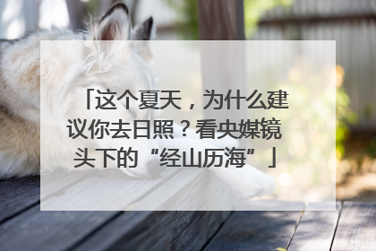 这个夏天，为什么建议你去日照？看央媒镜头下的“经山历海”